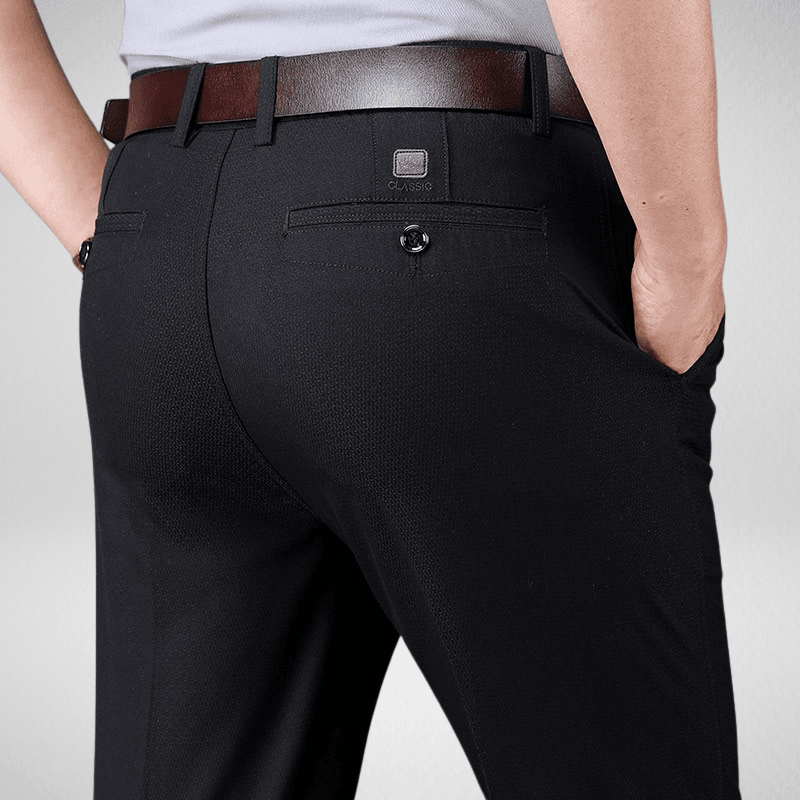Everyday Business Formal Regular Fit Trousers